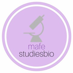 mafe.studiesbio