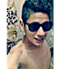 luiz schinaid