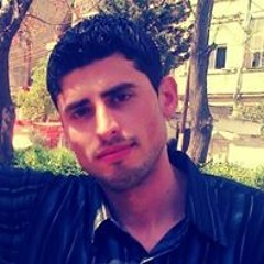 شادي العيسى