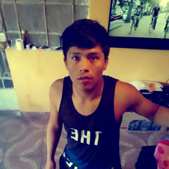 Cristhian Quispe Chavez