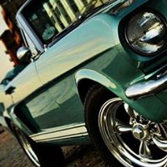 Taha Harhash Harhash