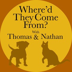 Where'd They Come From?