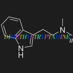 Dash Rainbow