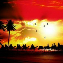 islamic mufty'z playlist