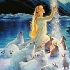 محمد البحرى