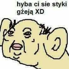 wojetek14