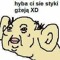 wojetek14