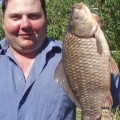 Болтливый Обыватель