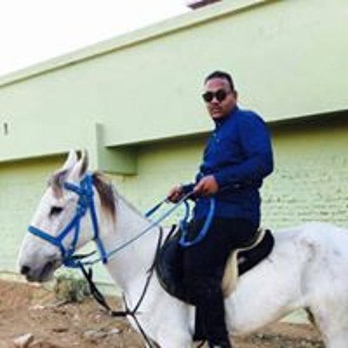 Mustafa Bib’s avatar