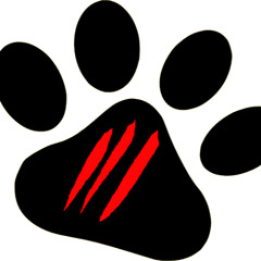 Dog scratch