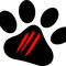 Dog scratch