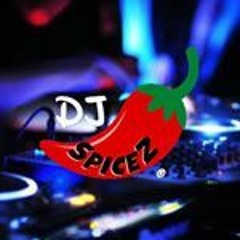 DJ SpiceZ