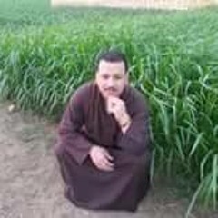 حمادة النص النص