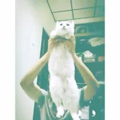 江敬
