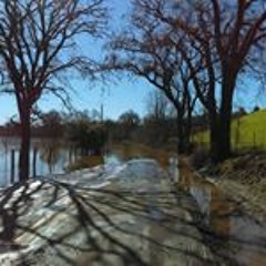 Christopher Scoggins