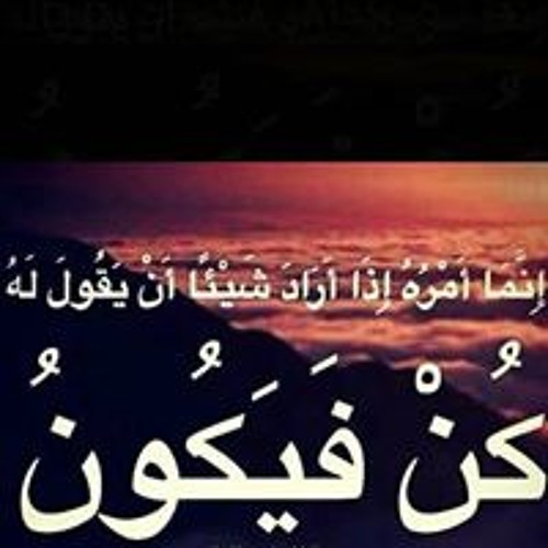 حسام صلاح الدين’s avatar