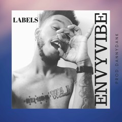 ENVYVIBE
