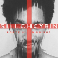 SILLOH SOUNDSCAPES IN PROGRESS