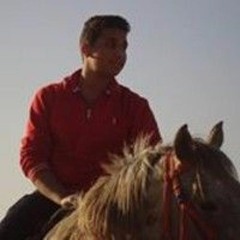 paddy