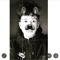 Alfie Fox
