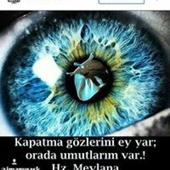 Bekir Dekur