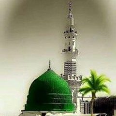 حاملة الزهراوين الزهراء