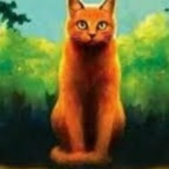 Warrior cats forever