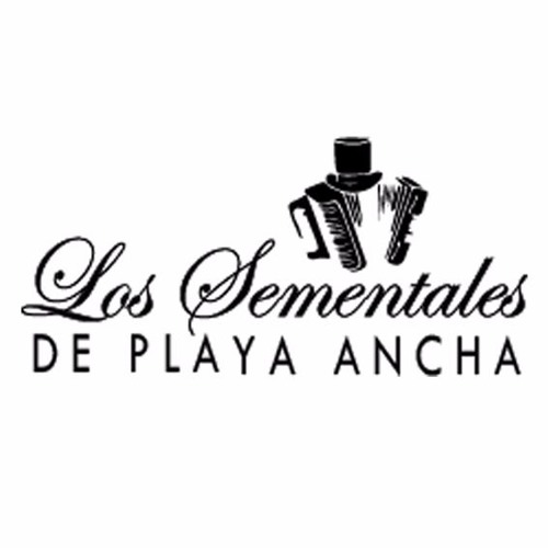 Los Sementales de Playa Ancha’s avatar
