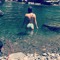 alipie28