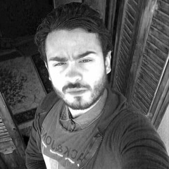 Elsayed Hassan