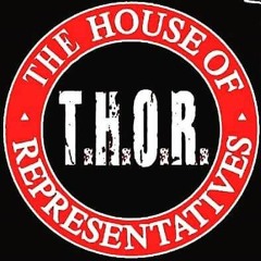 The House Of Representatives