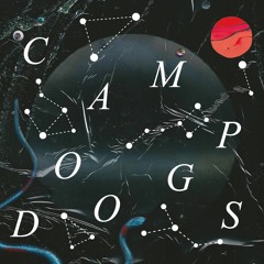 Camp Doogs