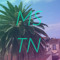 M S T N