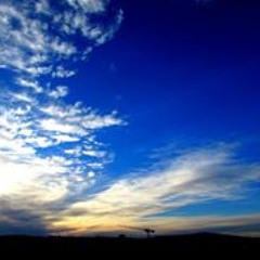 María Mercedes Yeomans