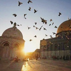 افراح إسلامية .. هو دا