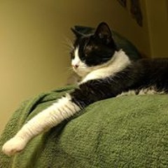 Mariana Castañeda-Lopez