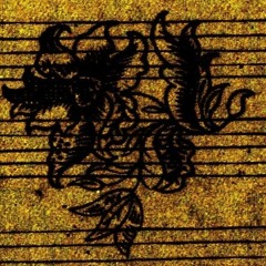 Study for Decomposing Flowers I: Frescobaldi Recercar