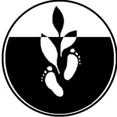 MARCELA ALEXANDRA OROZCO