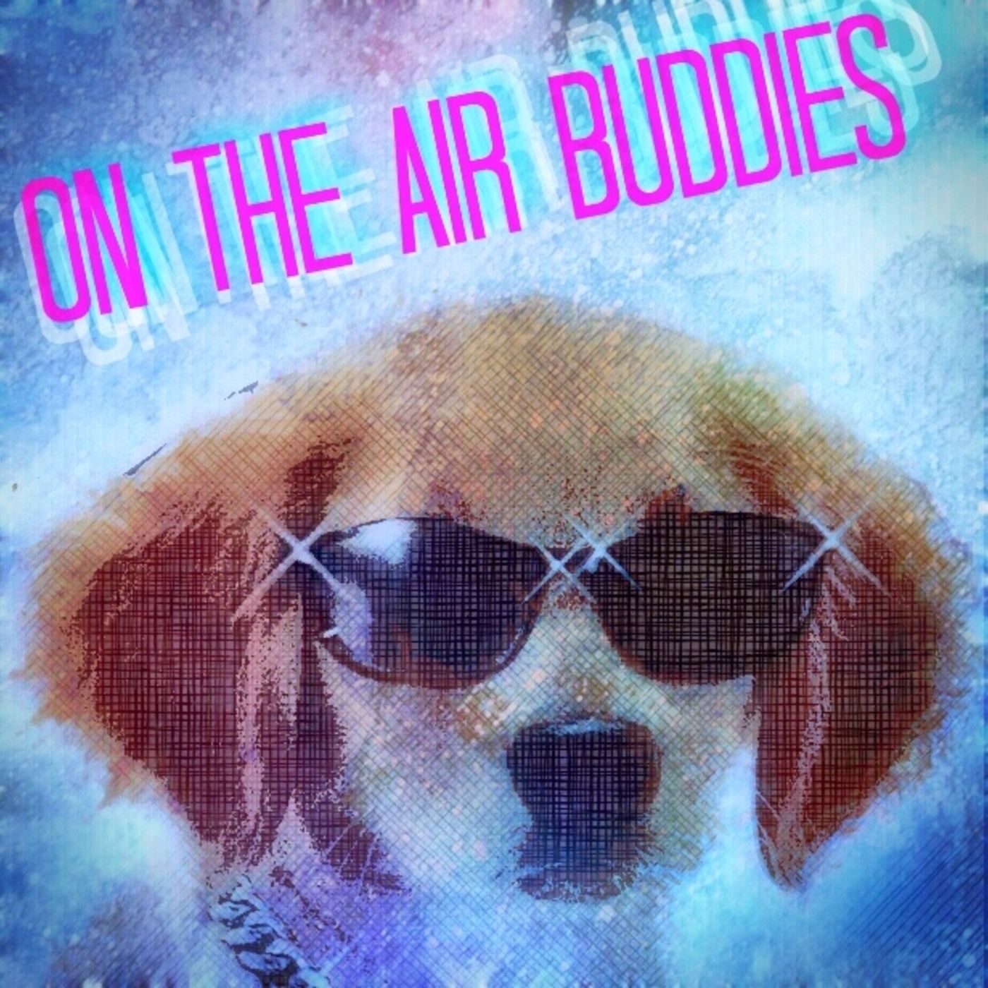 On The Air Buddies