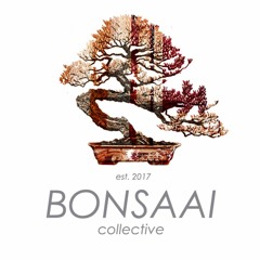 ☯ Bonsaai Collective ☯