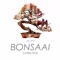 ☯ Bonsaai Collective ☯