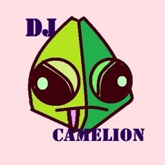 DJ Camelion