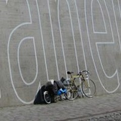 Hagbartcel