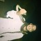 Emad Harb