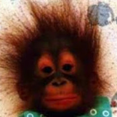 Frank Haink