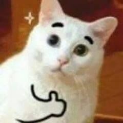 Bobro Bobrodobro