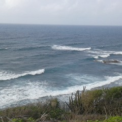 Tressy971gwada@hotmail.fr