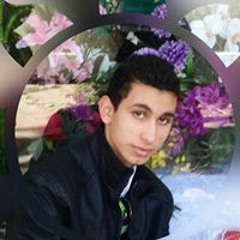 Osama Abd Elneam