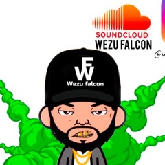Wezu Falcon