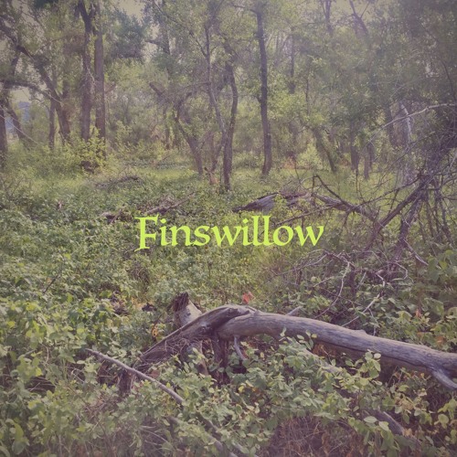 Finswillow’s avatar